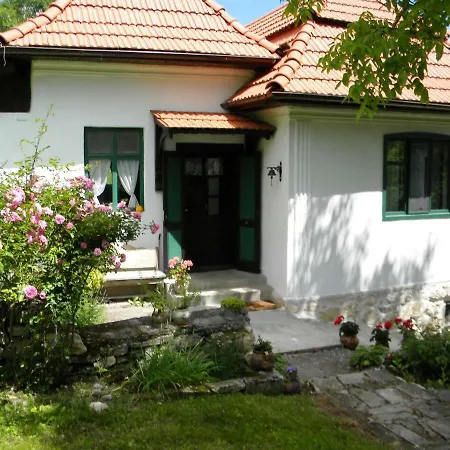 Homestay Casa Fara Ceas Pietroasa (Cluj)